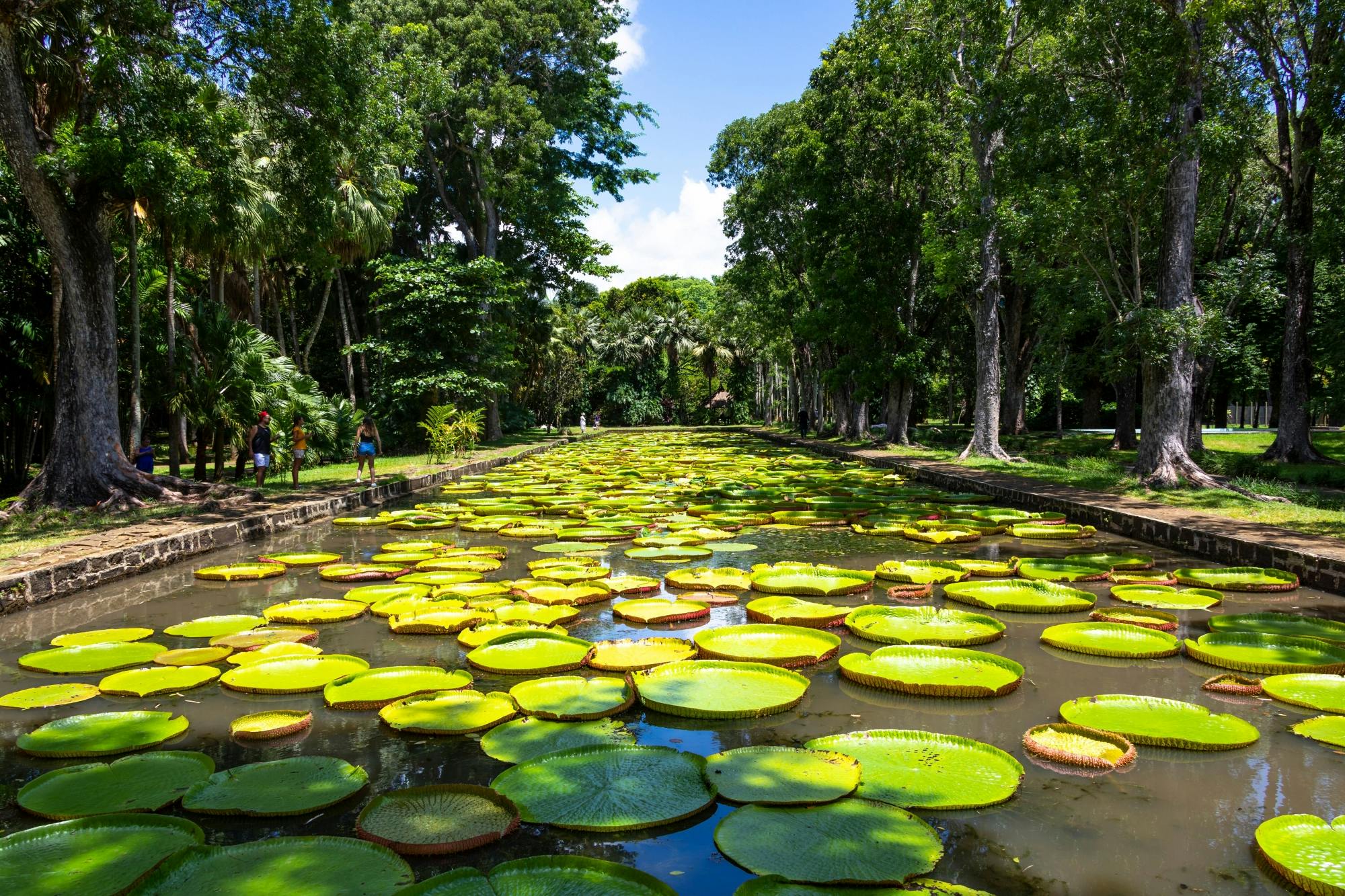 Port Louis city tour with botanic garden and oceanarium visit