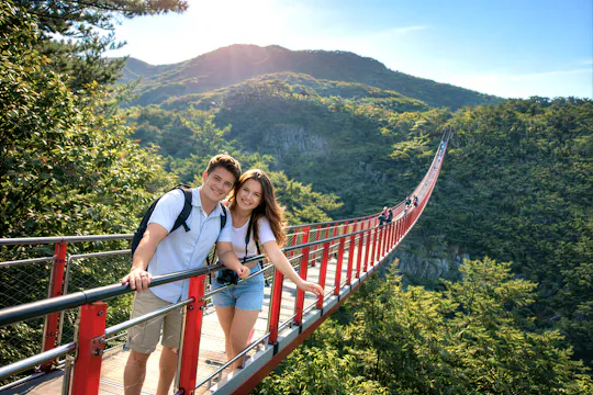 Excursión a la DMZ y al puente colgante rojo del monte Gamaksan desde Seúl