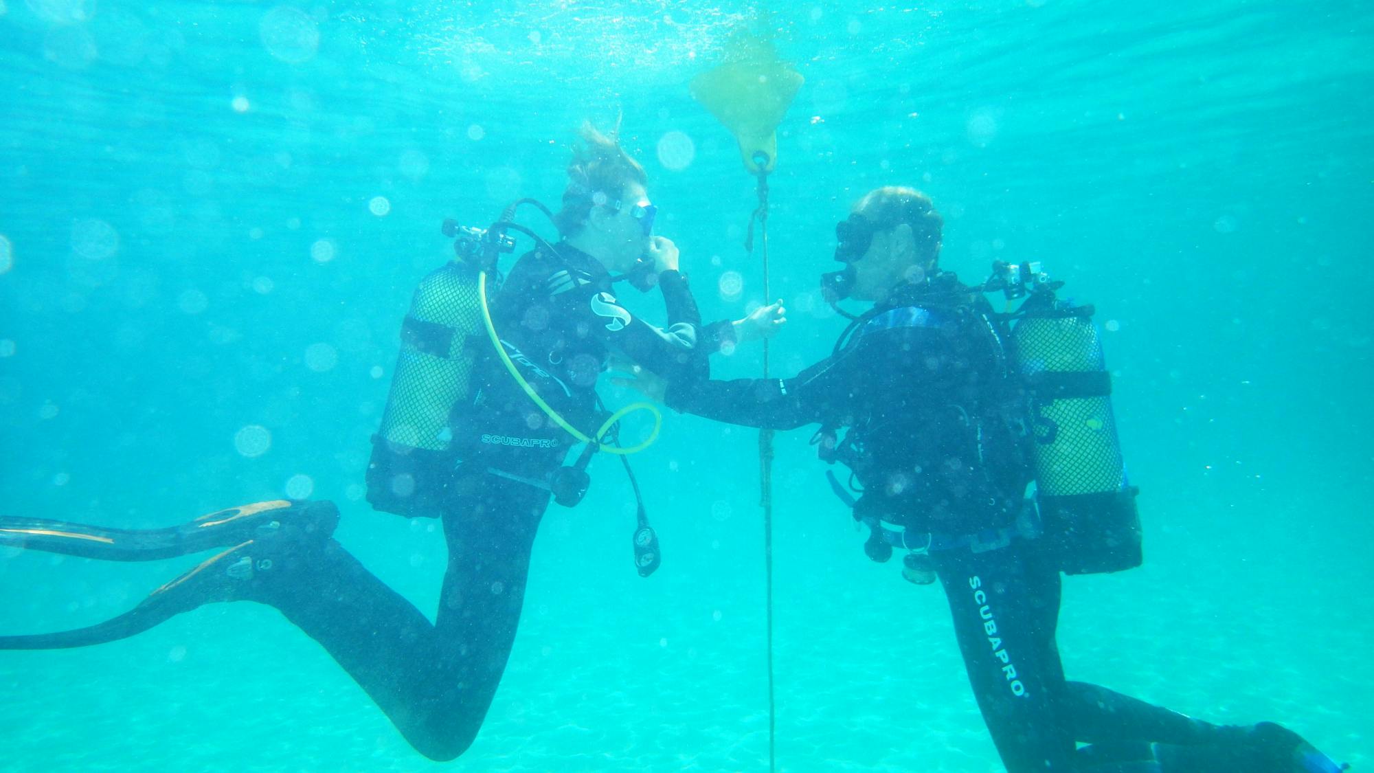 Discover scuba diving by boat with Skualo Portocolom