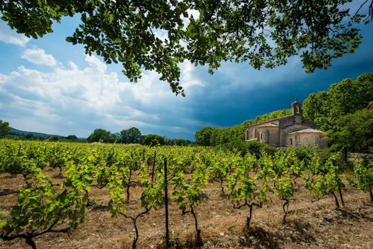 Excursión en grupo reducido a Gaillac con degustación de vinos desde Toulouse