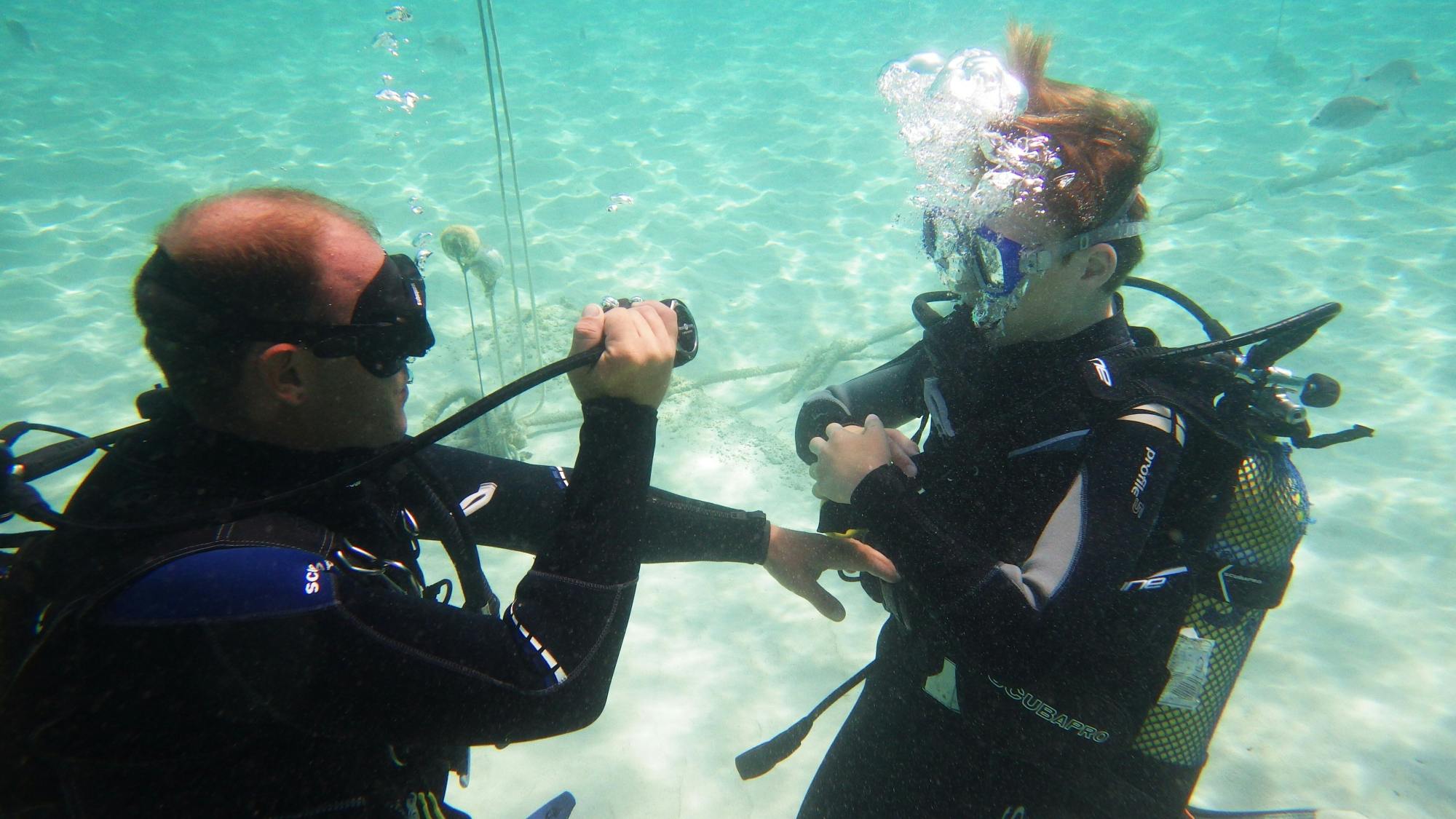 Discover scuba diving by boat with Skualo Portocolom