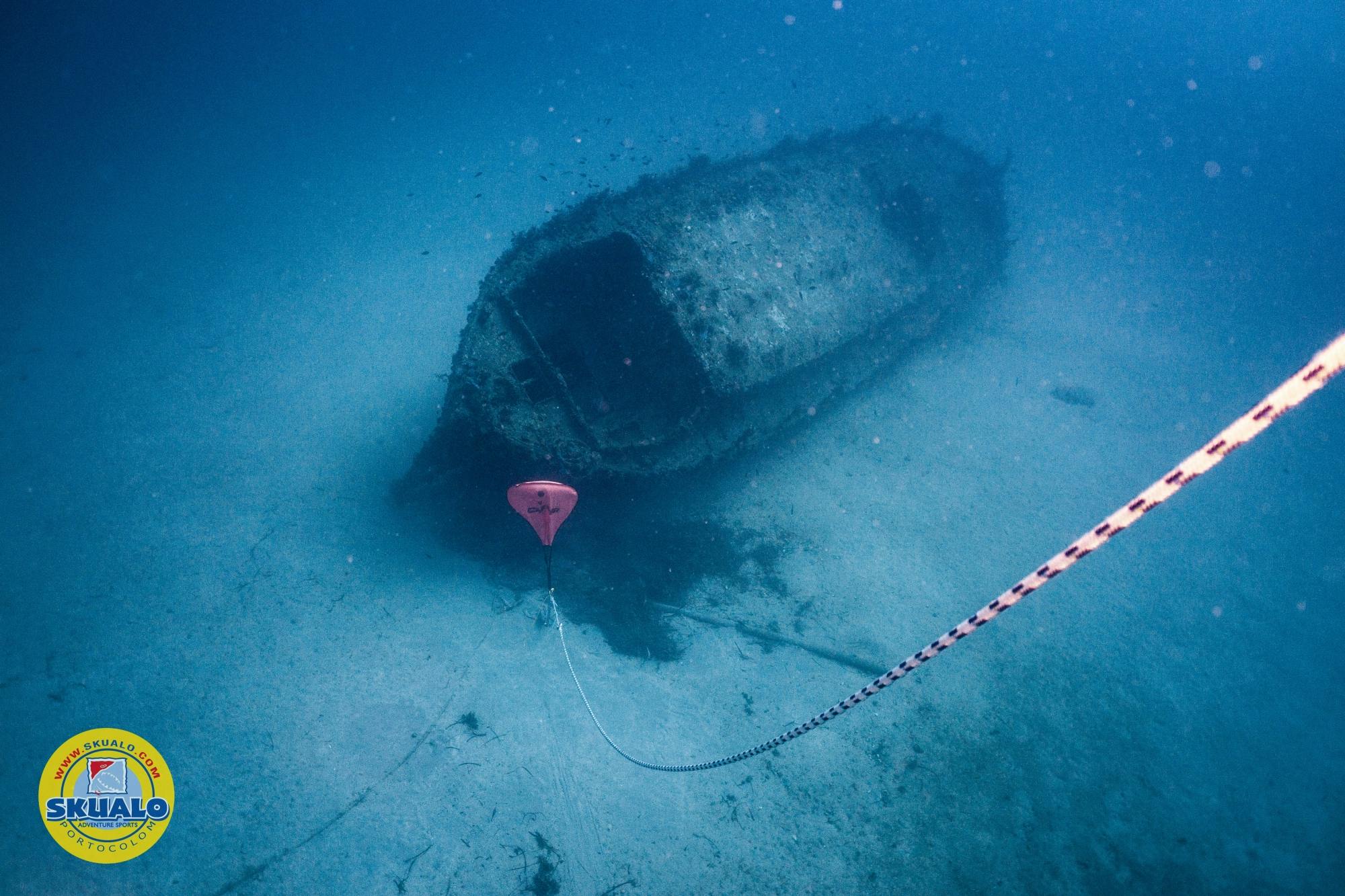 Single dive in Majorca with transfer