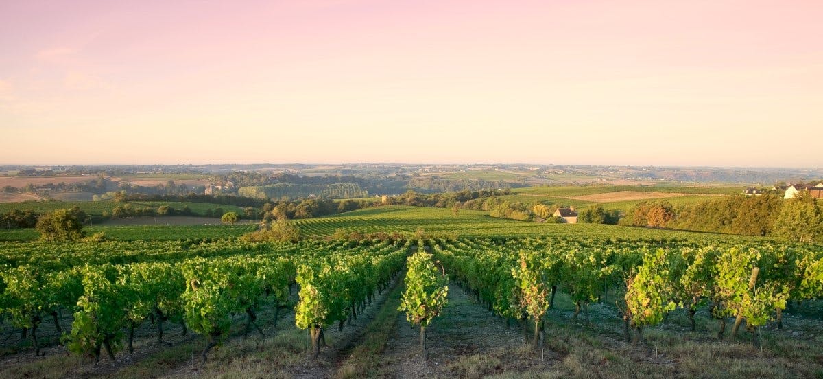 Halbtägige Weintour an der Côte de Nuits mit Verkostung ab Dijon