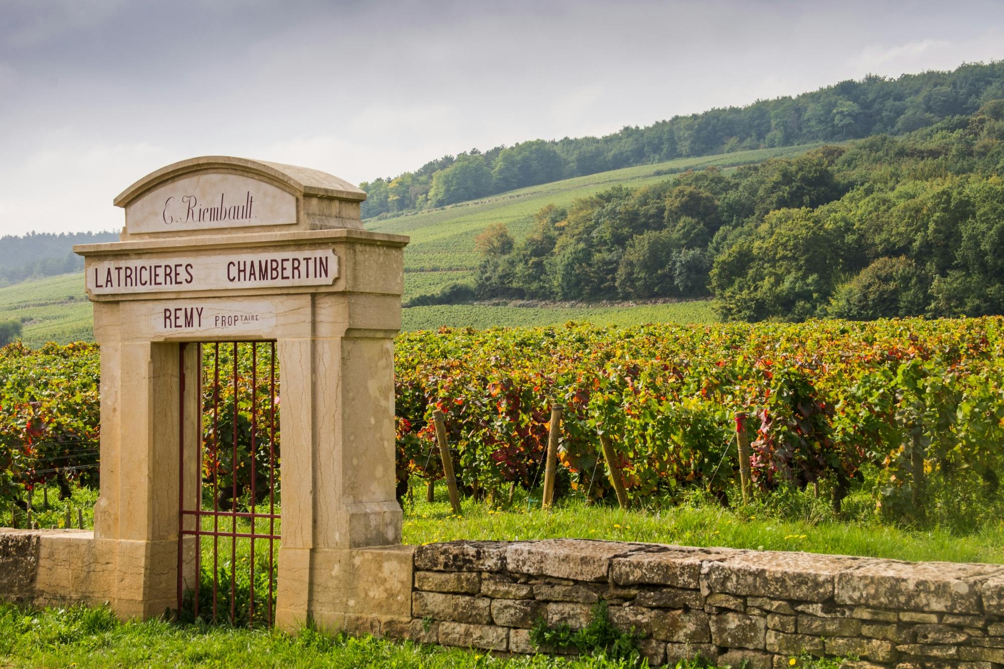 Besichtigung der Weinberge der Côte de Nuits und der Côte de Beaune ab Dijon