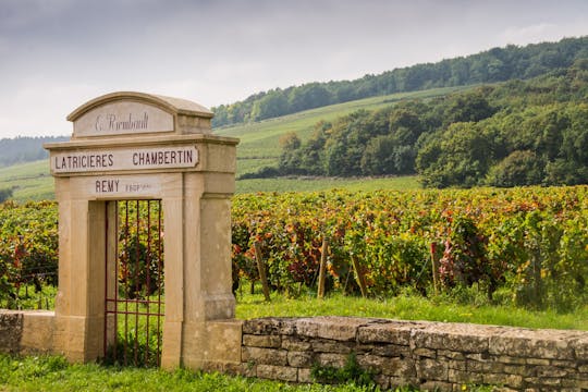 Cote de Nuits and Cote de Beaune vineyards tour from Dijon - 