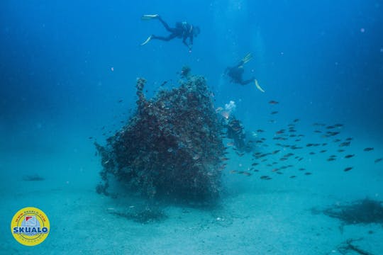 Double plongée avec transfert en Skualo Portocolom