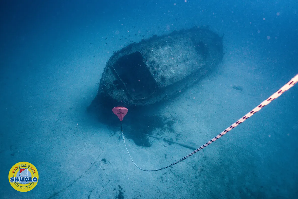 Single dive in Majorca with transfer