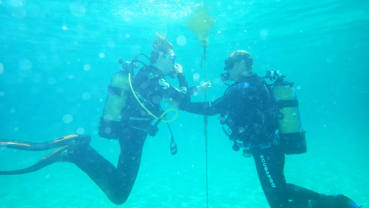 Discover scuba diving by boat with Skualo Portocolom