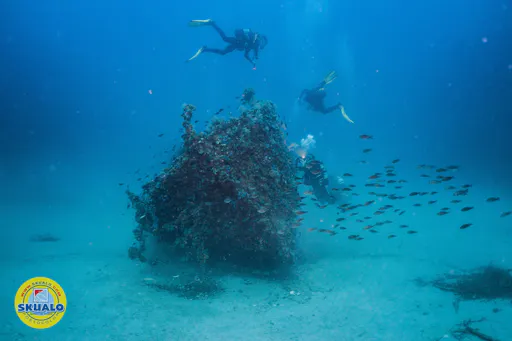 Refresh dive with Skualo Portocolom