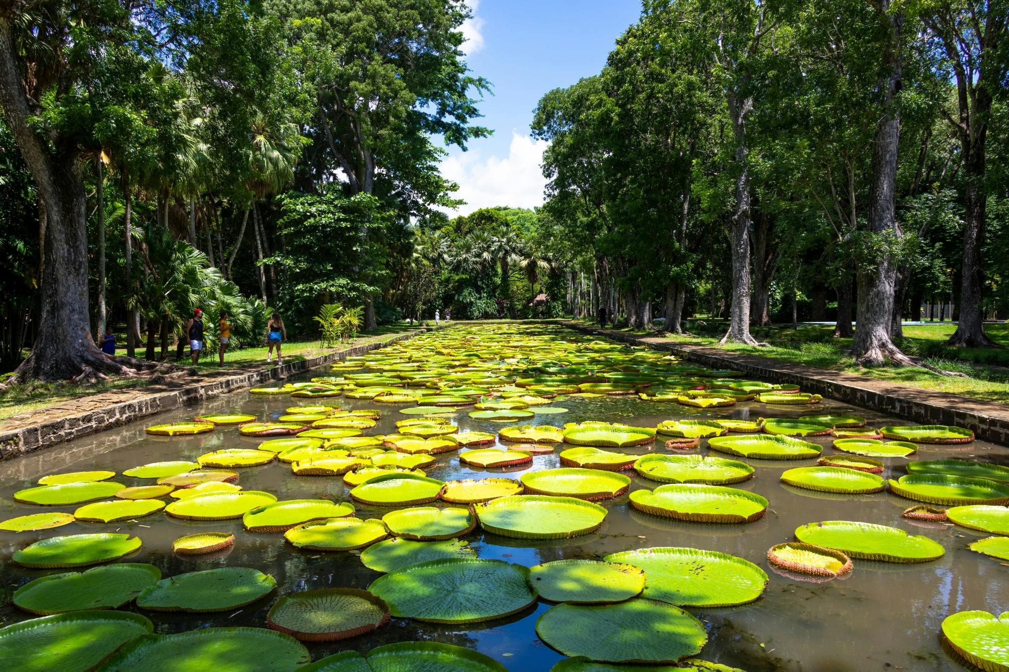 Port Louis city tour with botanic garden and oceanarium visit