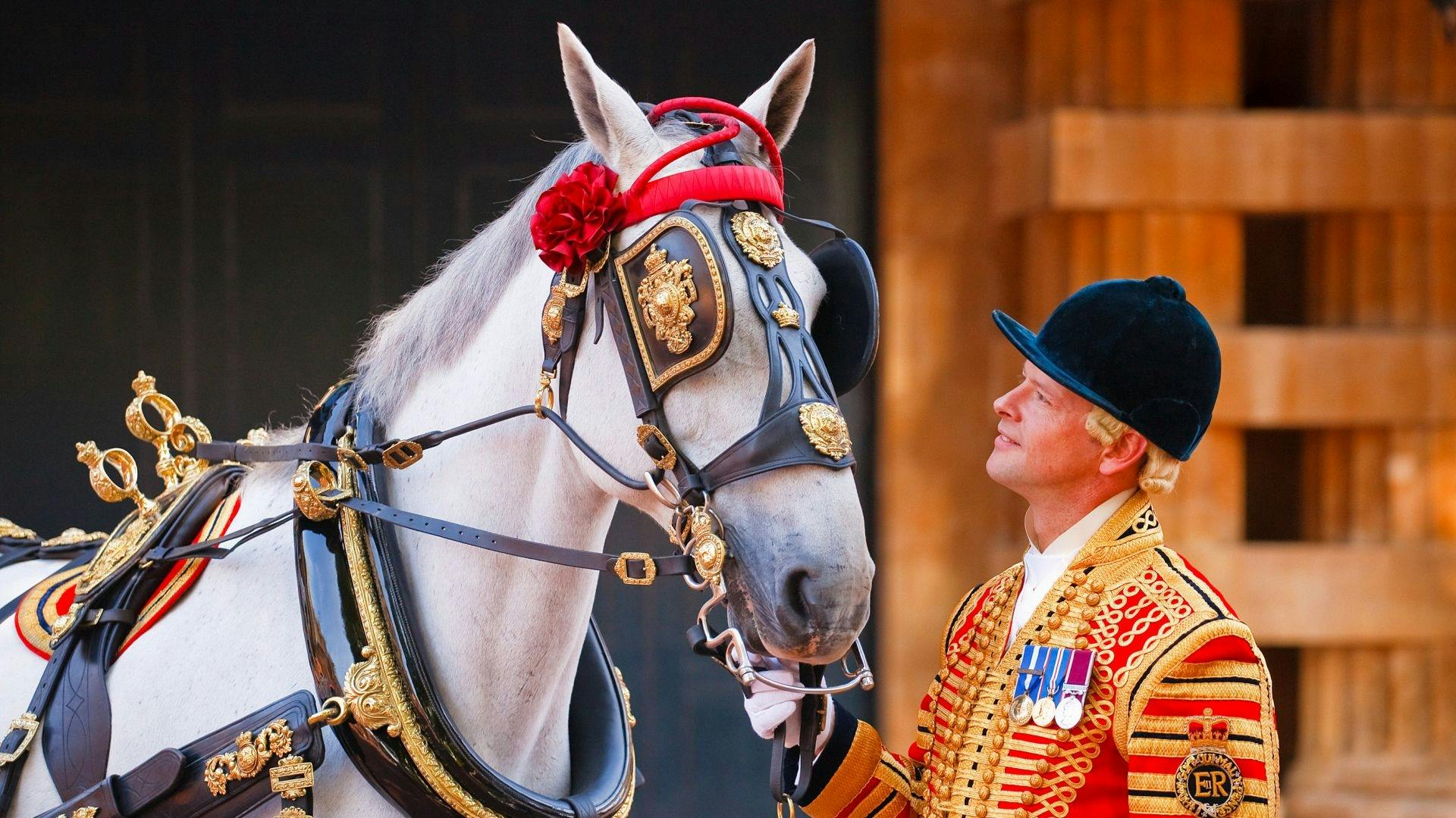 Toegangskaartje voor de Royal Mews met historische koetsen en rijtuigen