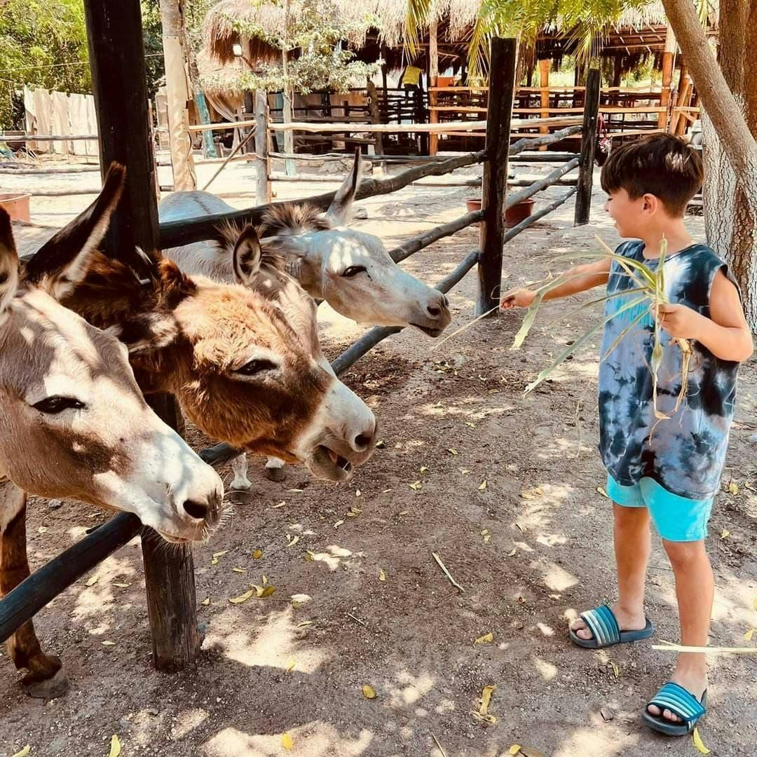 Horse Back Riding at Rancho Bonanza
