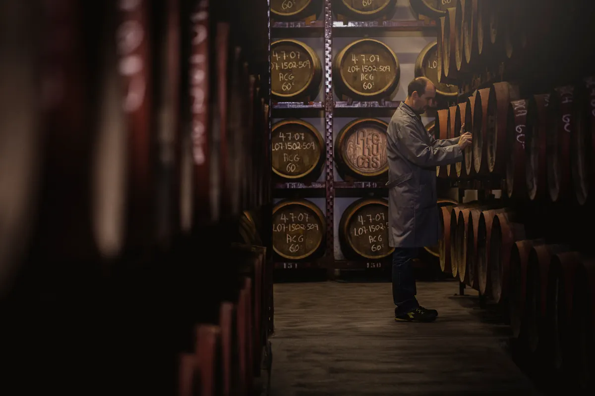 Finca Los Olivos and rum distillery tour with cave-side lunch