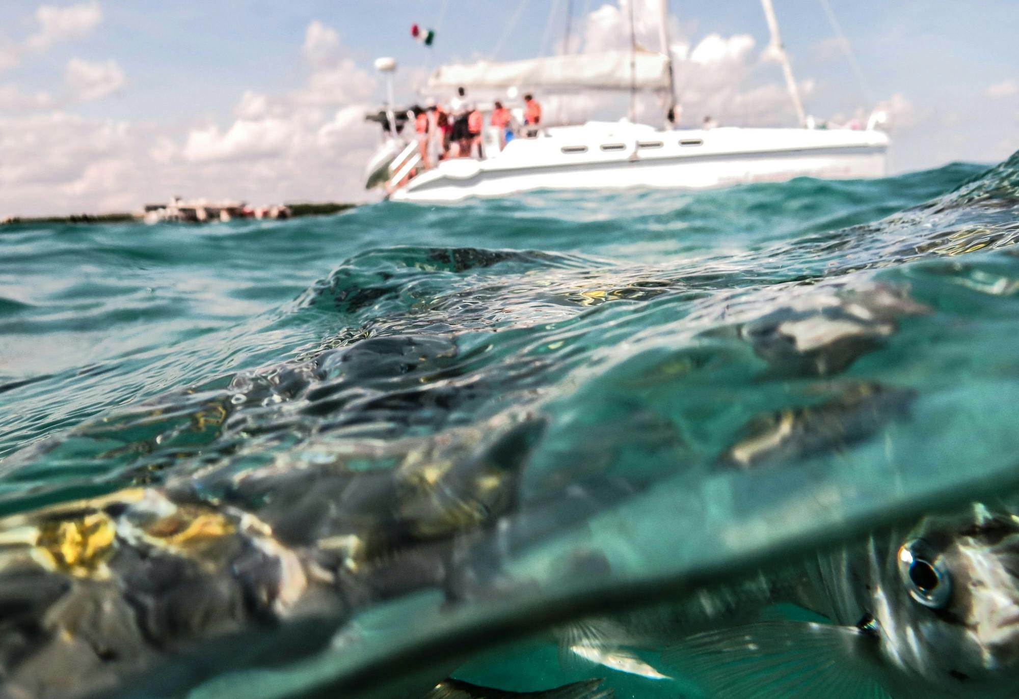 Catamaran Reef & Snorkel at Maroma