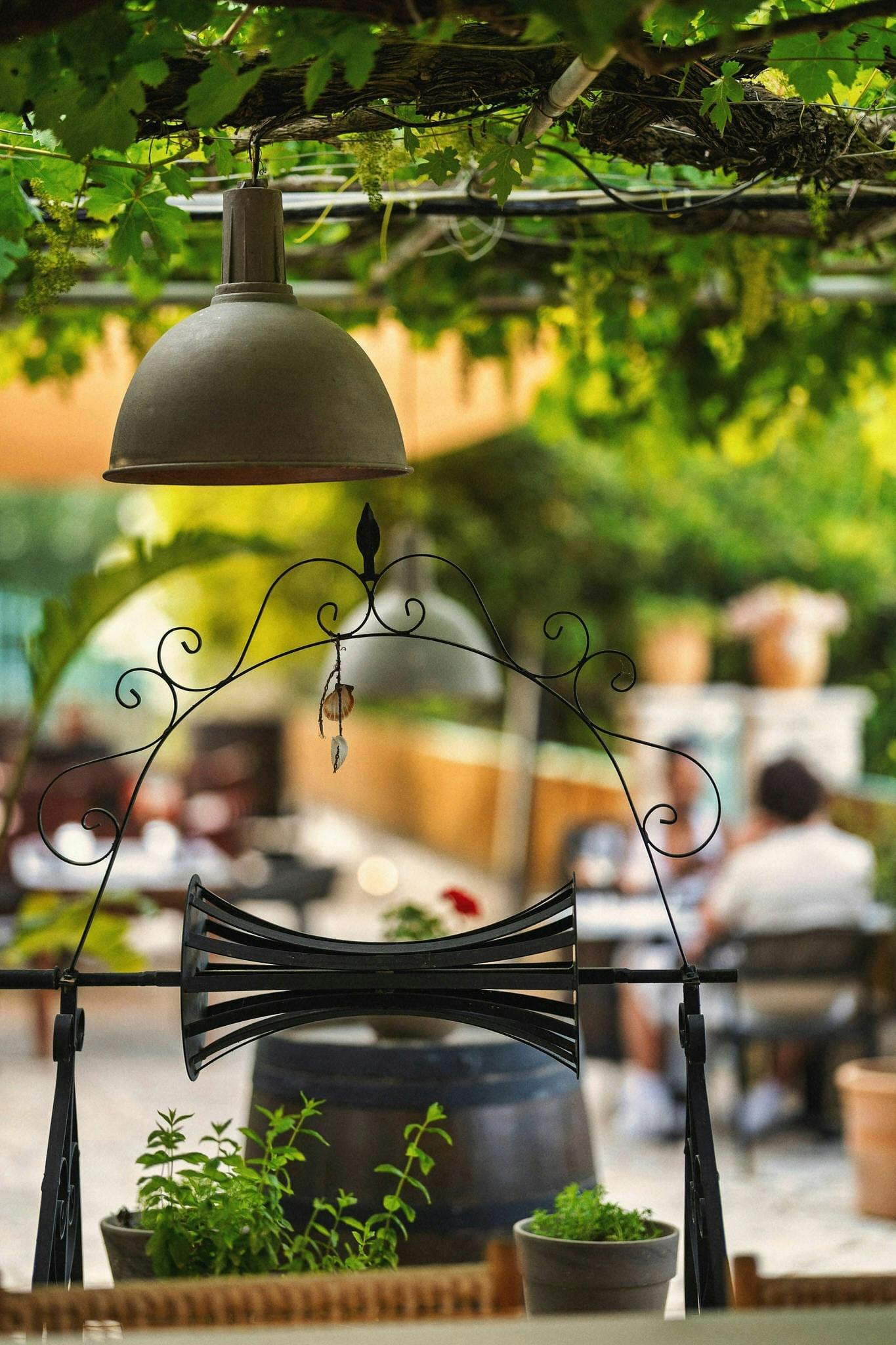 Zakynthos sunset dinner with wine-tasting