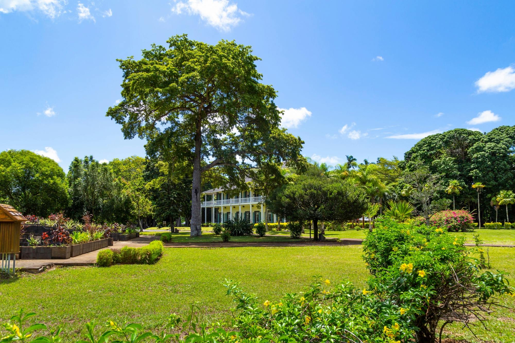 Port Louis city tour with botanic garden and oceanarium visit