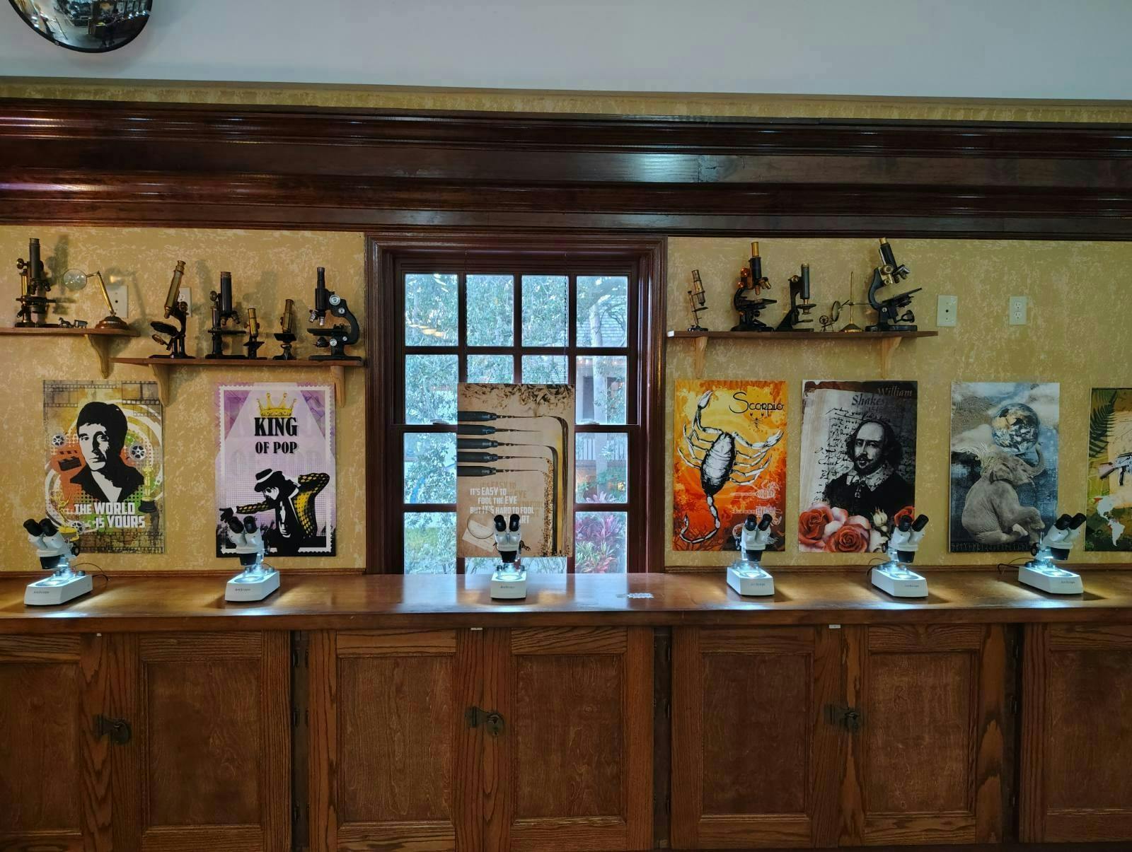 Tiny Art Museum entrance ticket