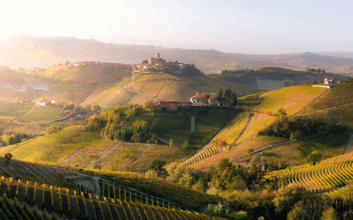 Gita di un giorno a Barolo e La Morra con degustazione e cattedrali del vino