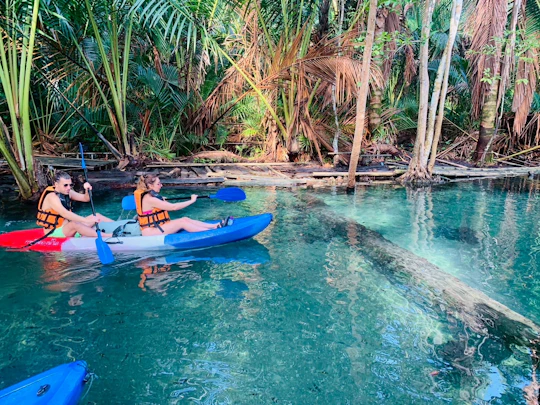 Eco-friendly kayaking journey to Khlong Nam Sai Lagoon