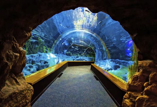 Poema del Mar Aquarium – Tickets ohne Anstehen
