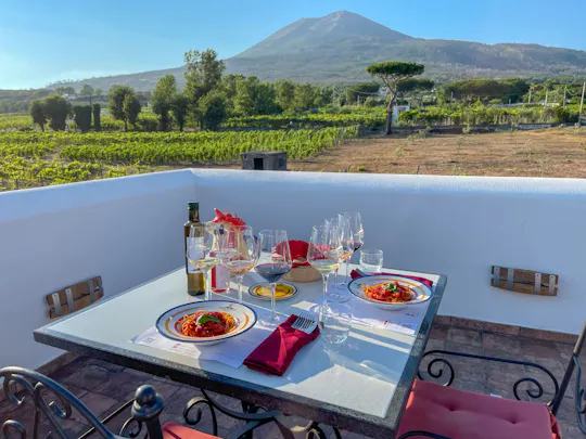 Organic volcanic wine tasting with lunch on Mt. Vesuvius