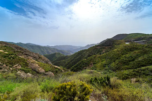 La Gomera tour with Garajonay Forest and San Sebastian