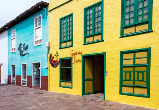 La Gomera tour with Garajonay Forest and San Sebastian