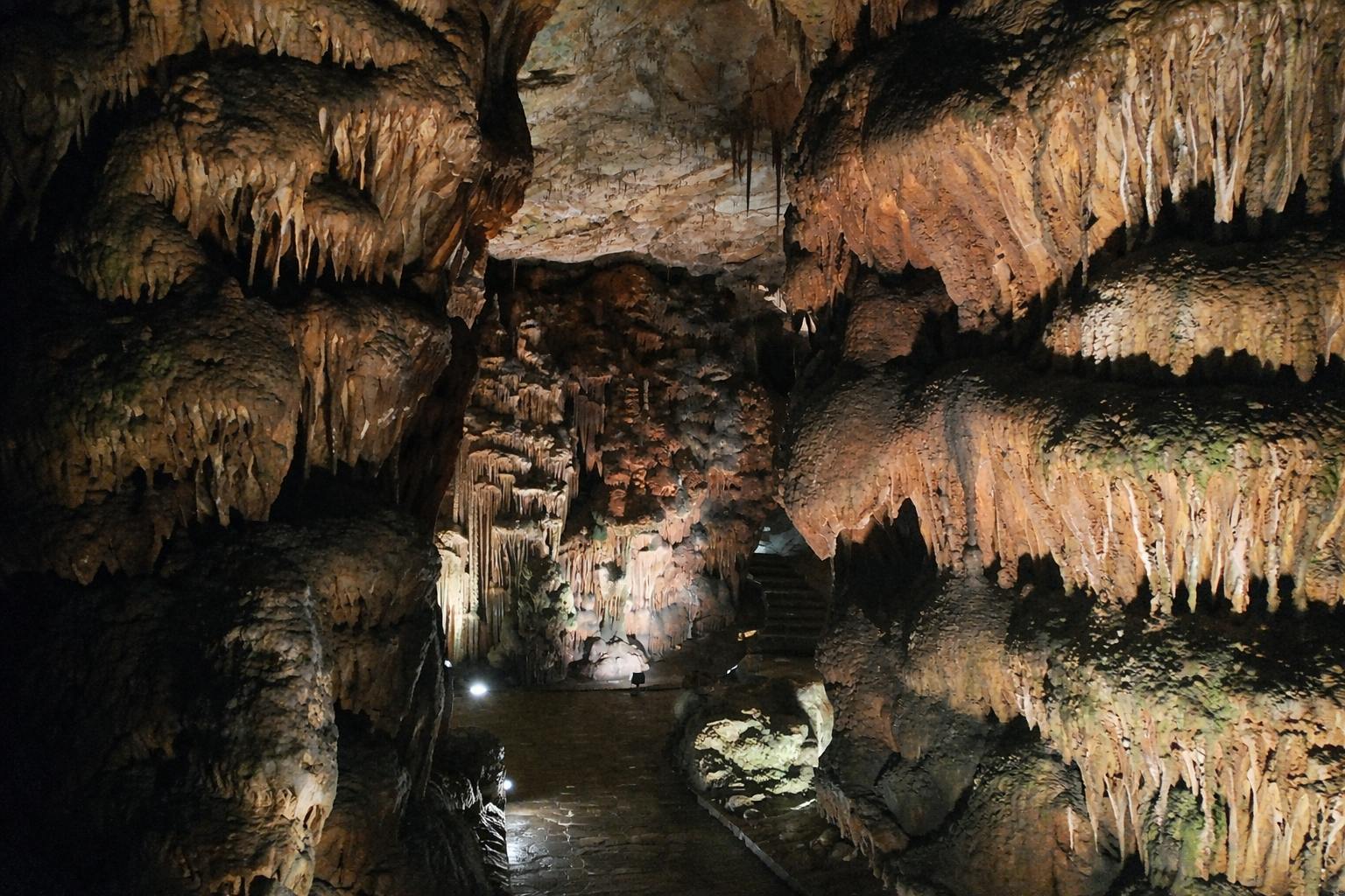 20260217699420cfa450a.png
