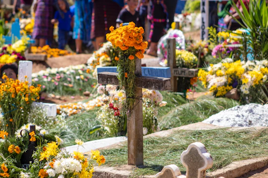 Day of the Dead guided tour in Mexico City