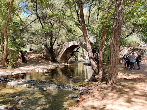 Half-day Troodos Mountains village tour with art museum visit