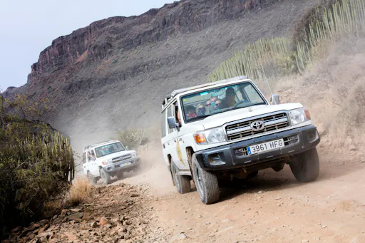 Mykonos Off-Road Adventure