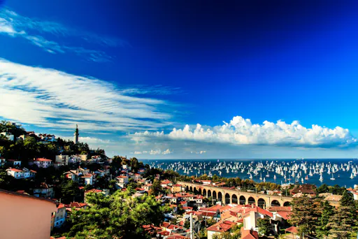 Half-day guided tour of Trieste with panoramic bus tour