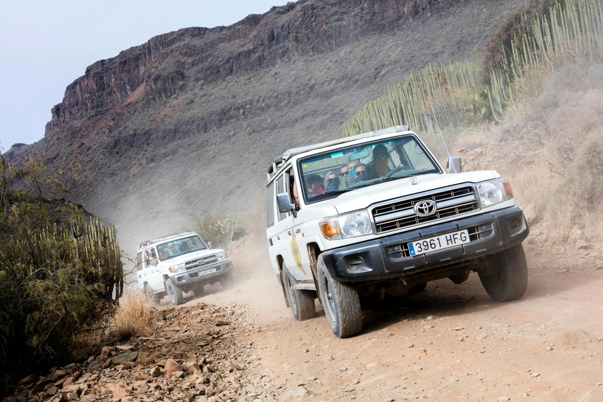 Mykonos Off-Road Adventure