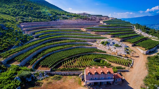 Visite guidée et dégustation au domaine viticole de Lipovac à Građani