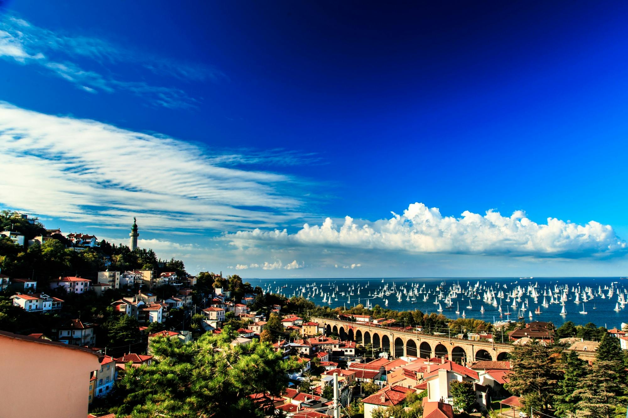 Half-day guided tour of Trieste with panoramic bus tour