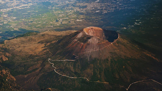 Access to Vesuvius National Park with minibus transfer