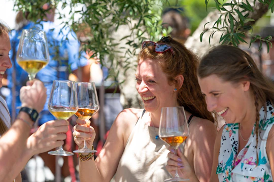 Mount Vesuvius crater tour with authentic lunch at a vineyard