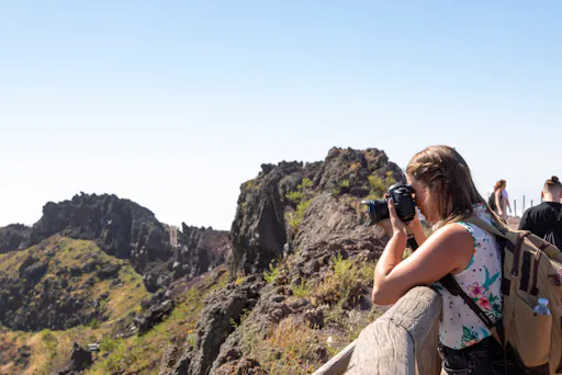 Mount Vesuvius crater tour with authentic lunch at a vineyard