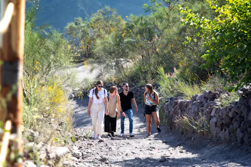 Mount Vesuvius crater tour with authentic lunch at a vineyard