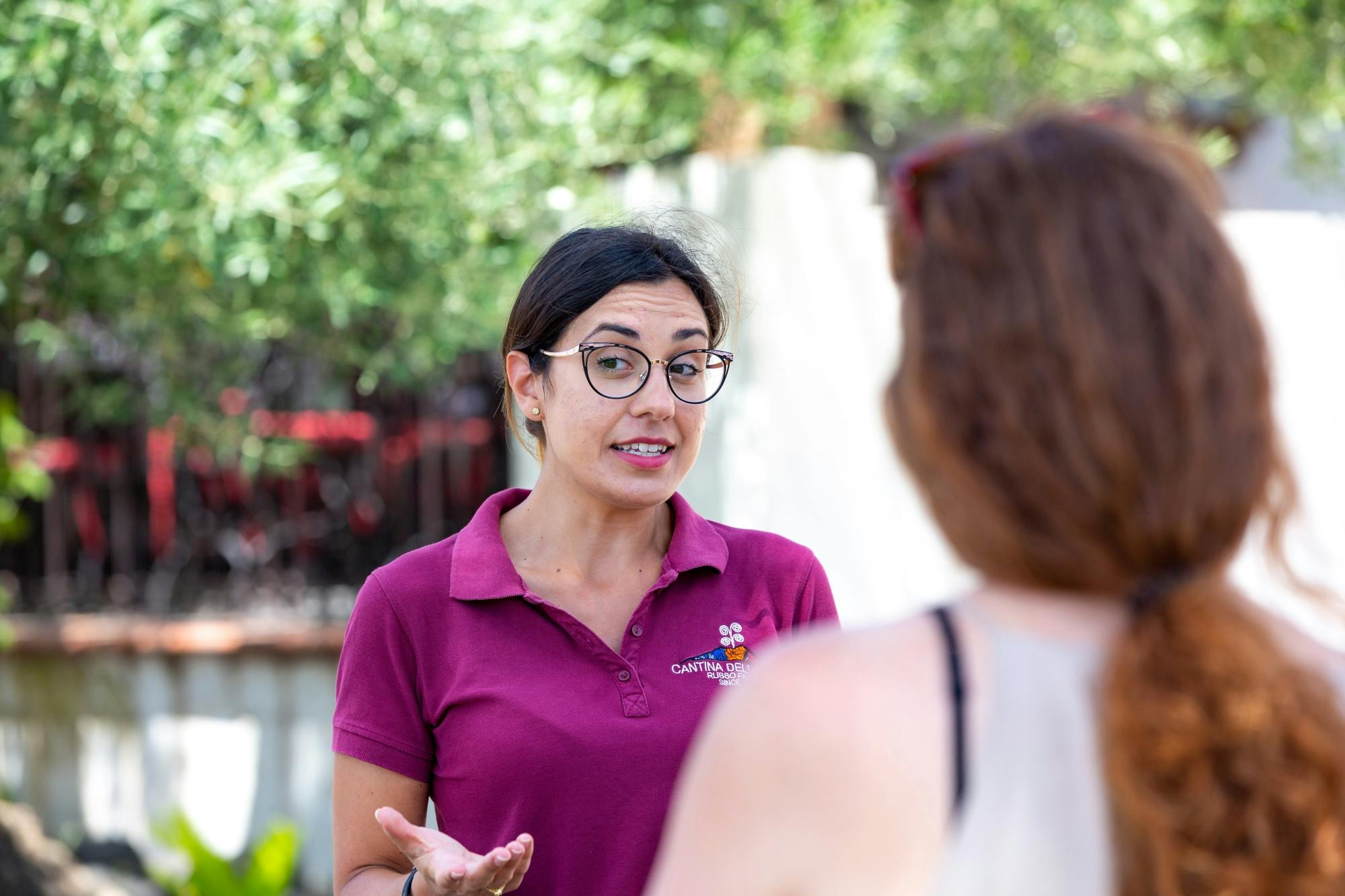 Mount Vesuvius crater tour with authentic lunch at a vineyard
