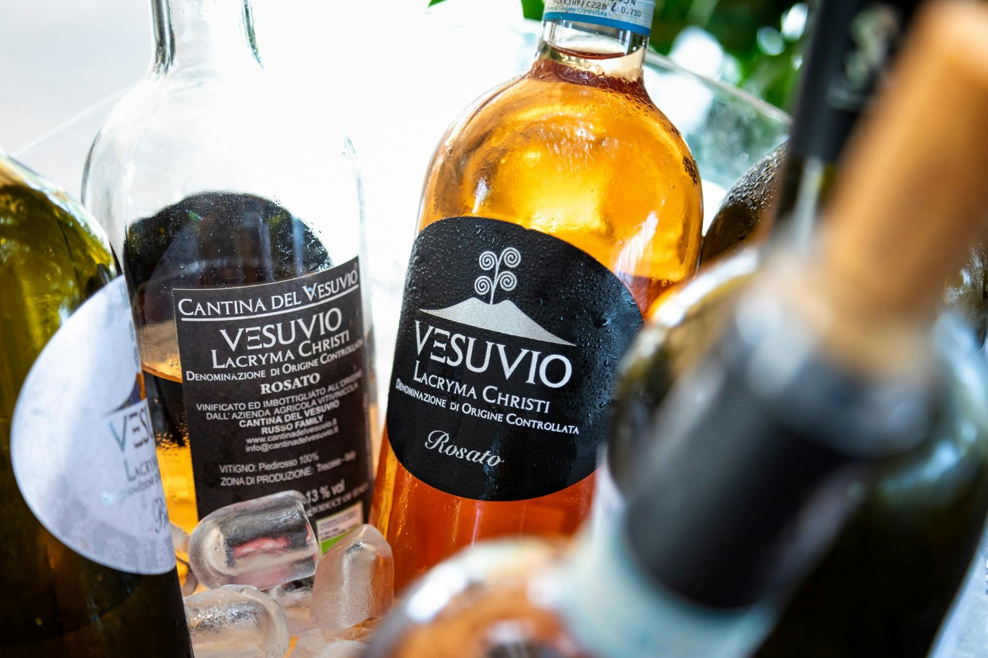 Mount Vesuvius crater tour with authentic lunch at a vineyard