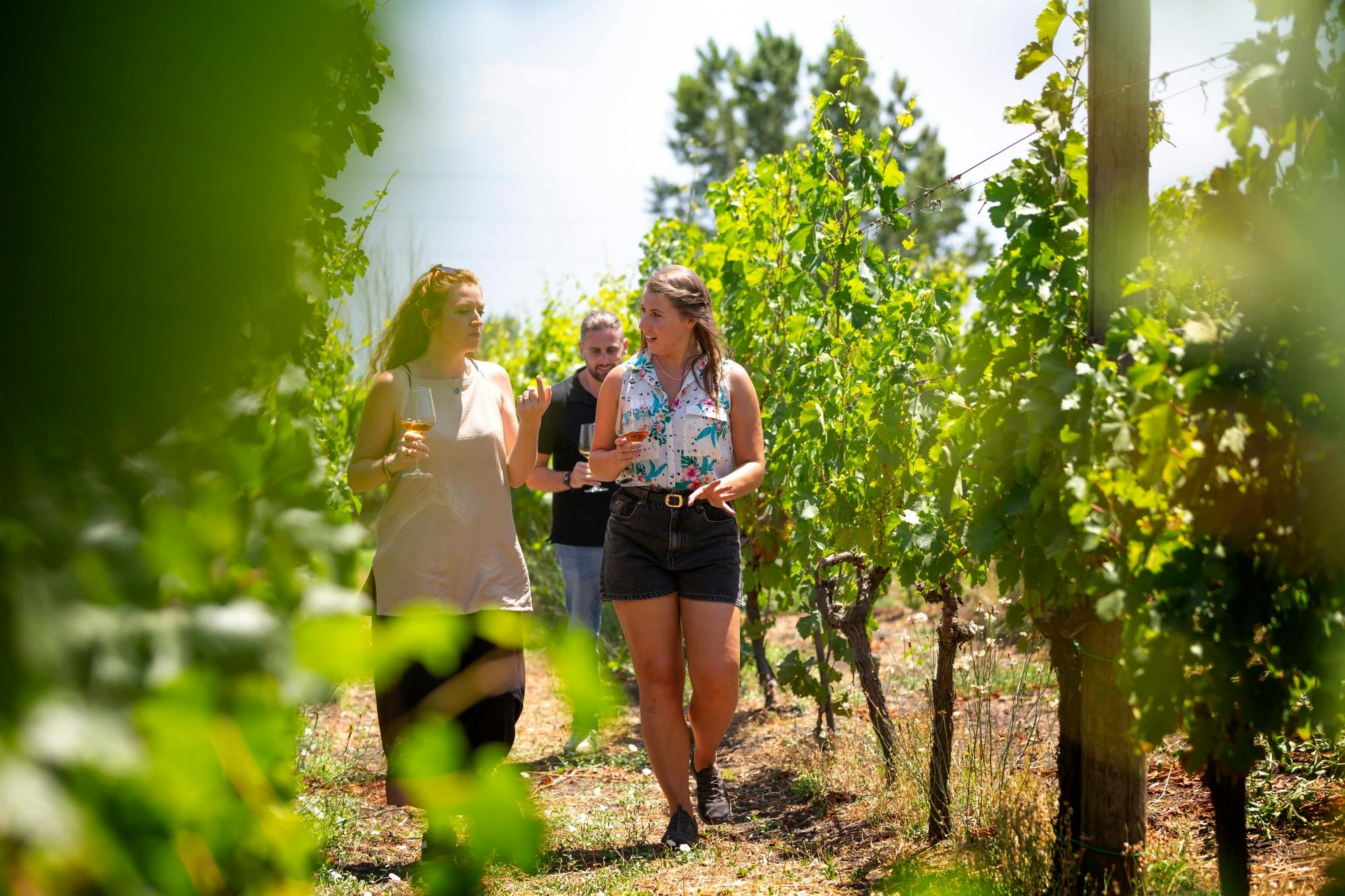 Mount Vesuvius crater tour with authentic lunch at a vineyard