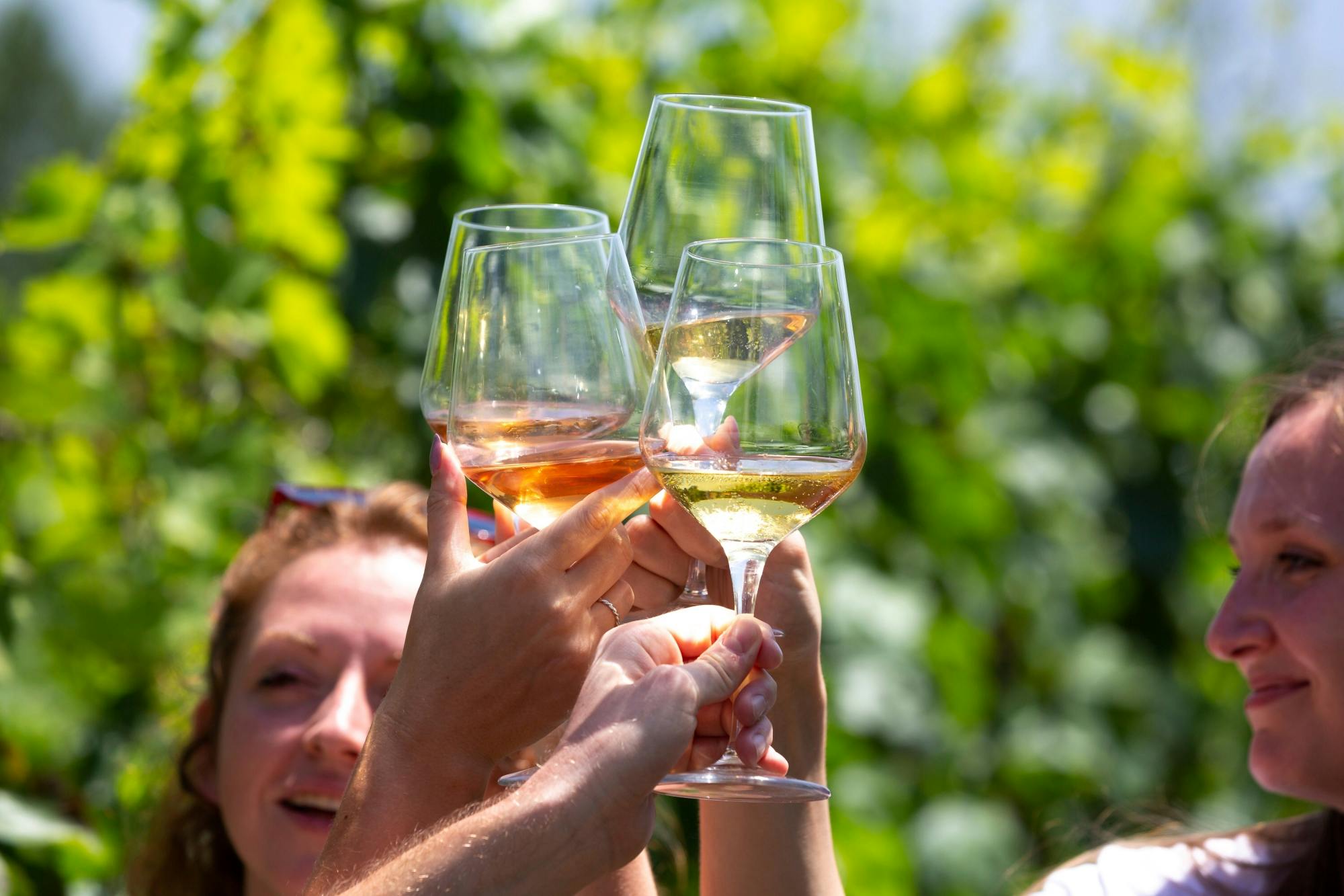 Mount Vesuvius crater tour with authentic lunch at a vineyard