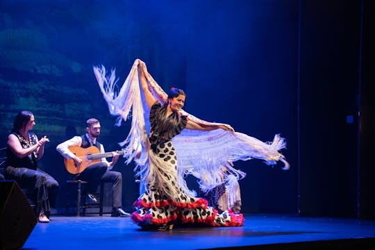 Biglietti per il Teatro Flamenco di Madrid