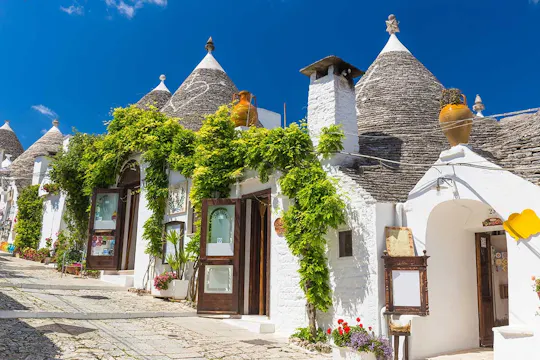 Visitare Polignano a Mare e Alberobello da Bari