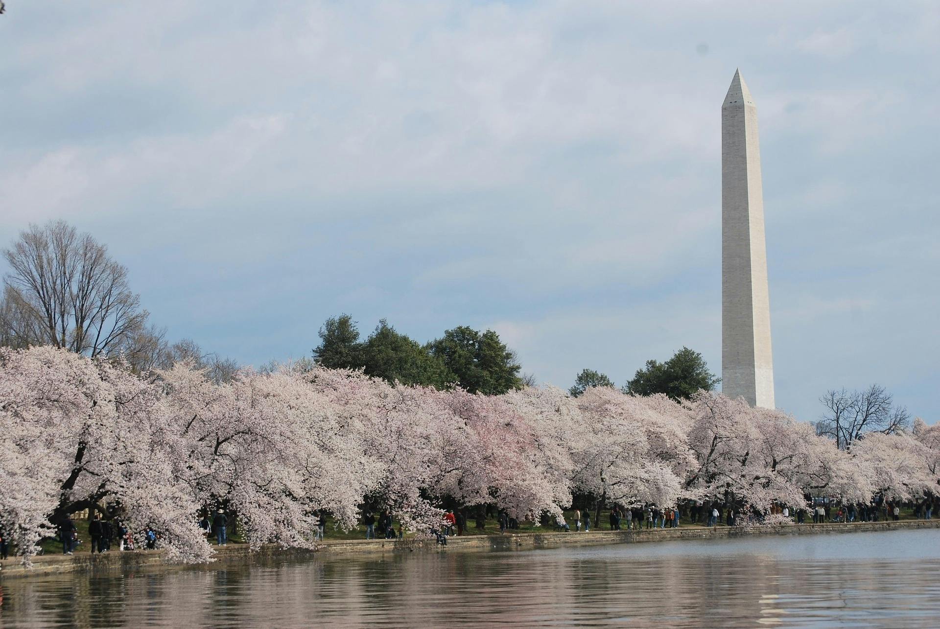 Washington Monument: Skip-the-line-Tickets und Reiseführer