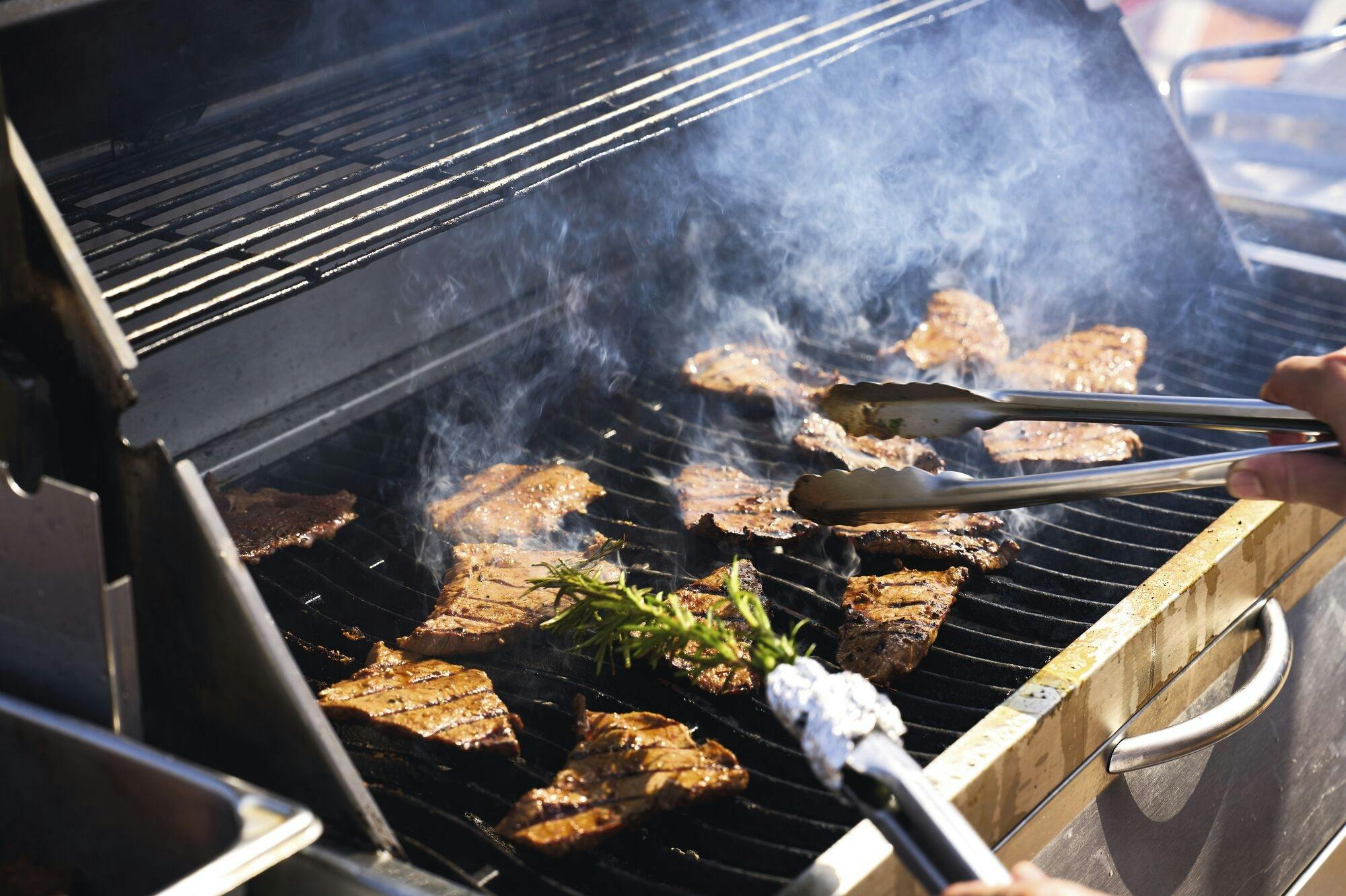 Camel Trek & BBQ Experience