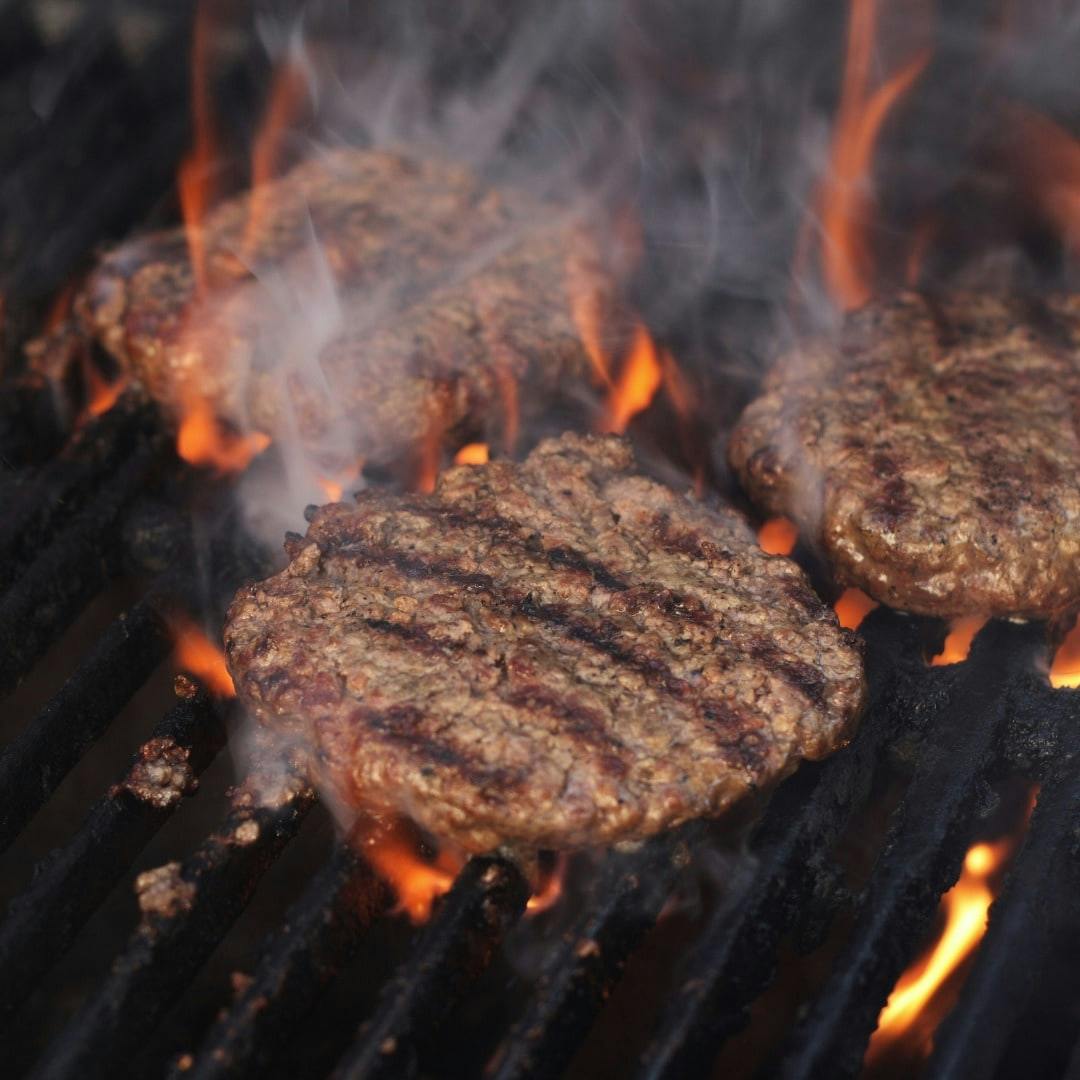 Camel Trek & BBQ Experience