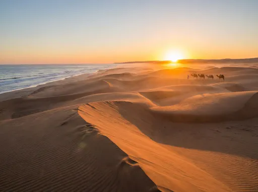 Moroccan buggy and sunset camel ride with barbecue dinner