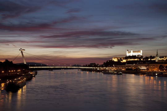 Crociera al Castello di Devin, tour di mezza giornata